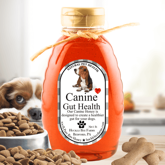 K9 Honey: Vet-Approved Allergy Relief & Immune Support