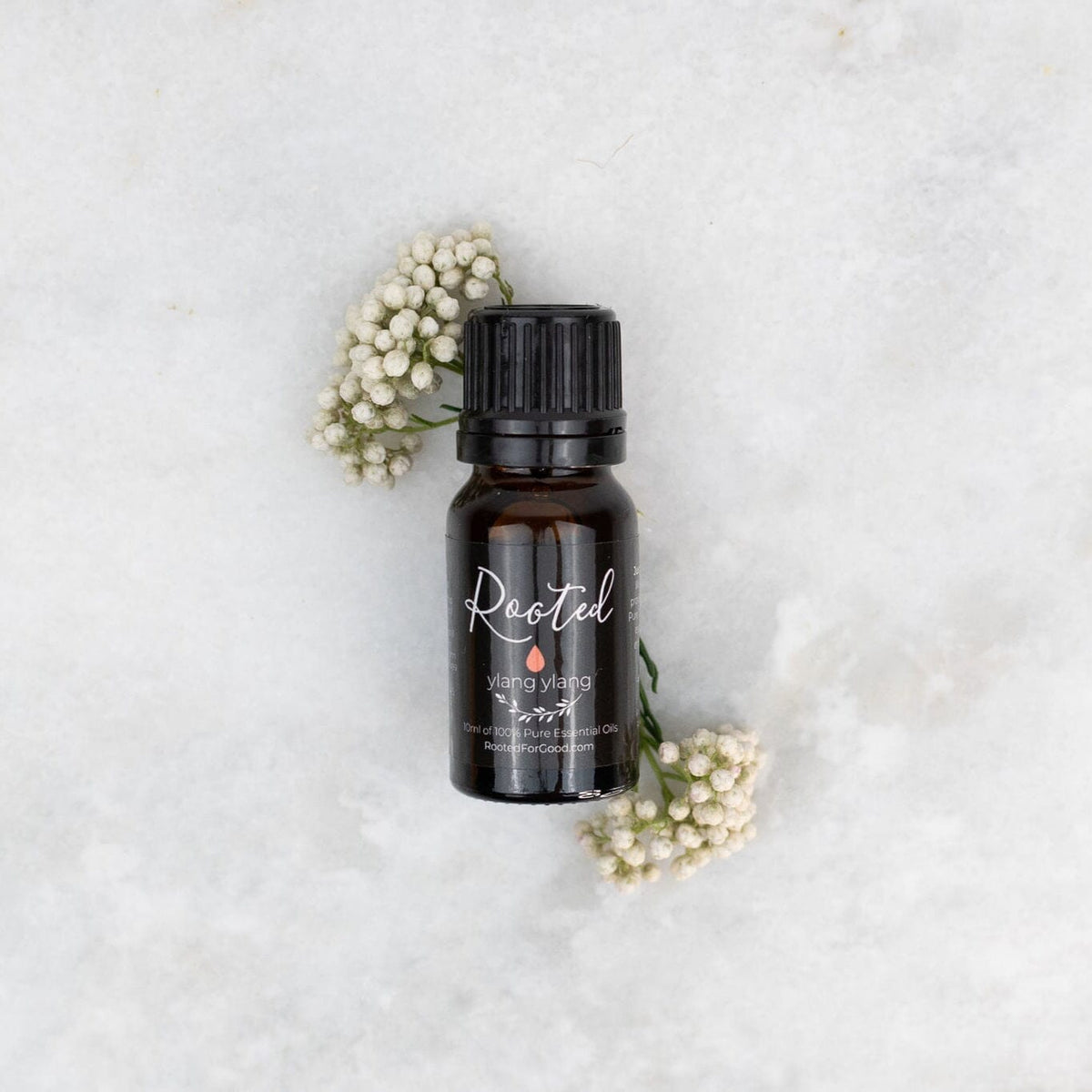 Ylang Ylang Essential Oil