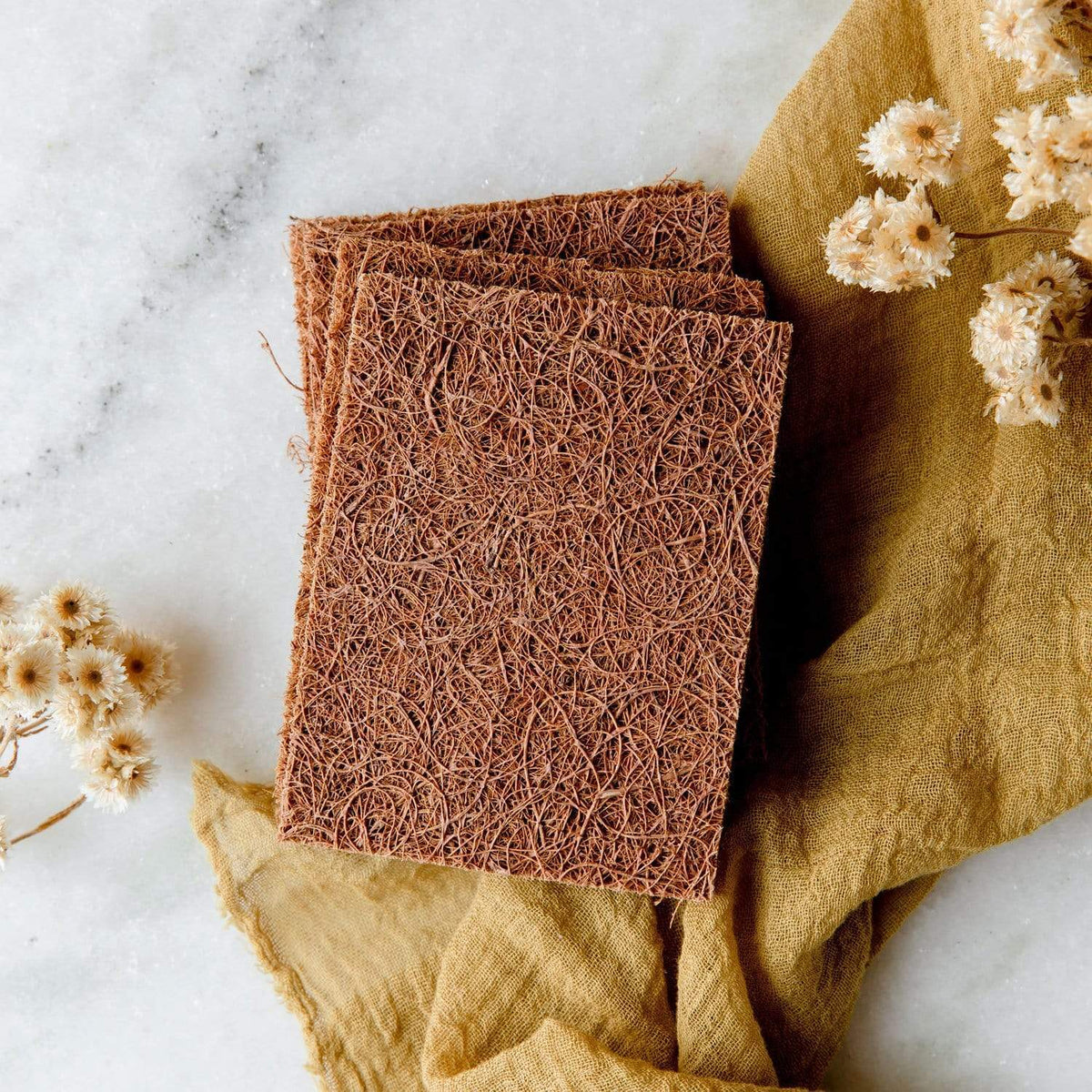 Coconut Kitchen Scrubber
