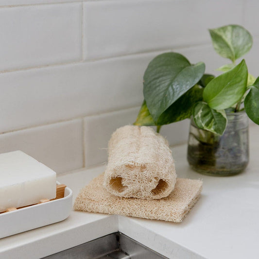 Loofah Sponge Pack